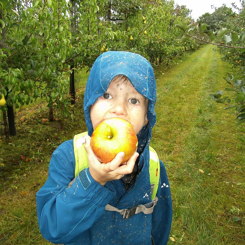 Kind in Regenjacke beißt genüsslich in einen Apfel und guckt in die Kamera