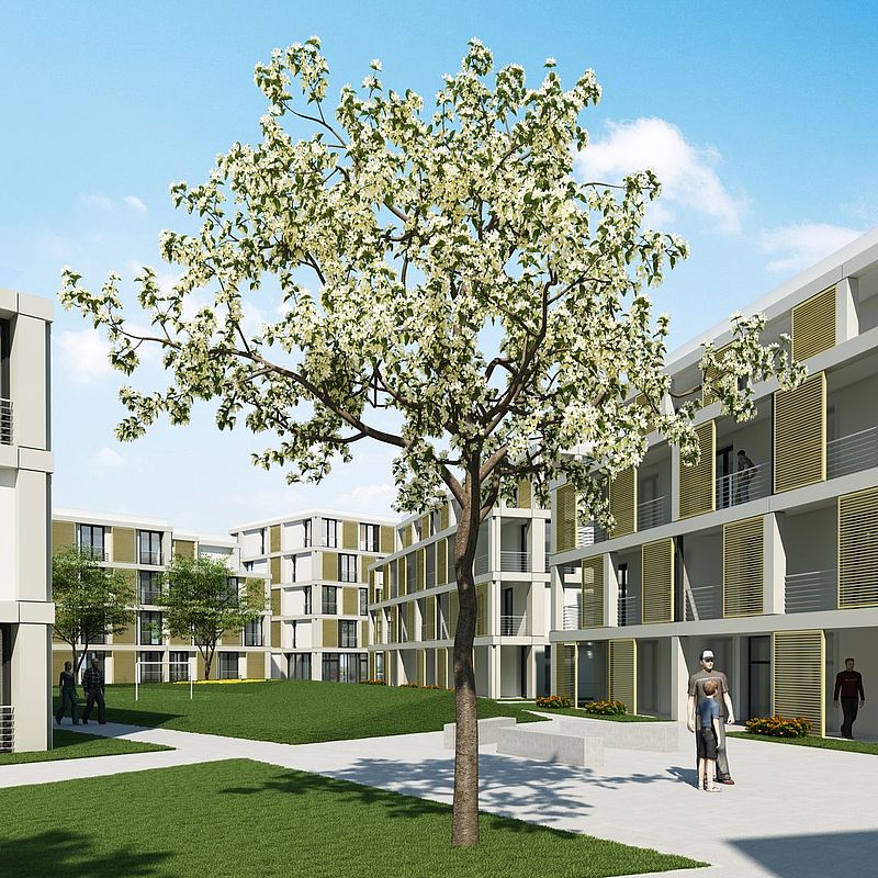 Visualisierung des zukünftigen Wohnheims aus Perspektive des Innenhofs mit einer Rasenfläche und einem kleinen Baum.